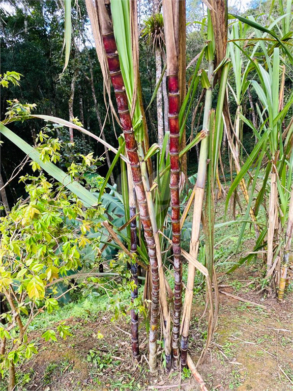 Venda Sítio Juquitiba Zona Rural REO887576 19