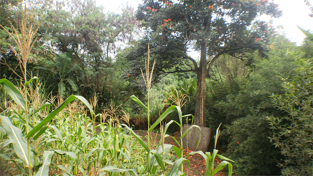 Venda Área de Terra Limeira Parque Hippolyto REO887580 8