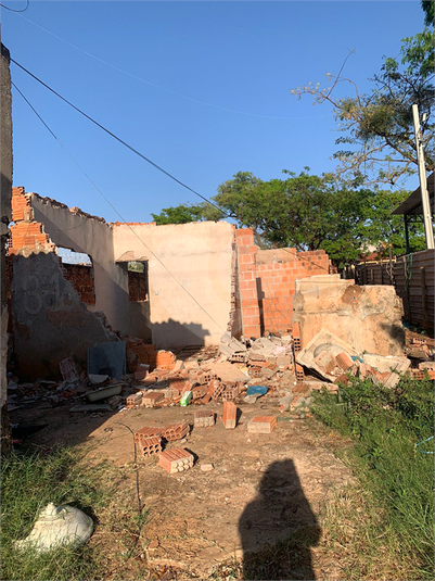 Foto REO888137