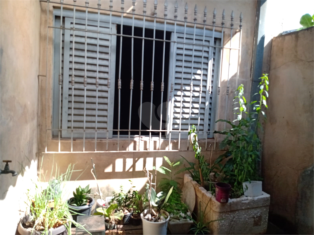 Venda Casa Campinas Jardim Vista Alegre REO888176 13