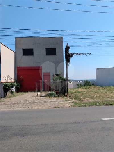 Foto REO888221