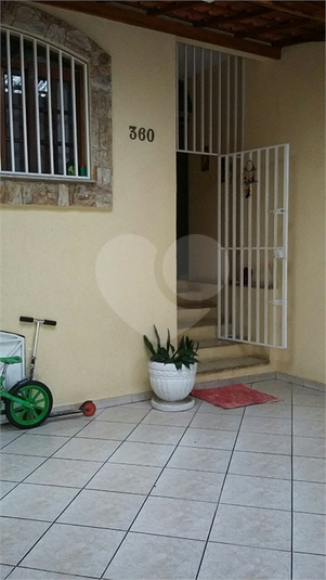 Foto REO888353