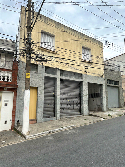 Foto REO888603