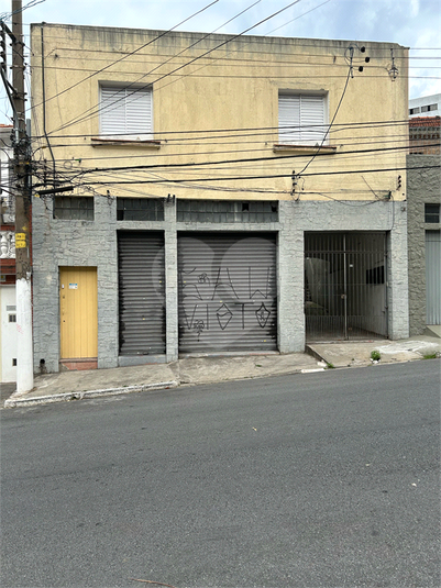 Foto REO888603