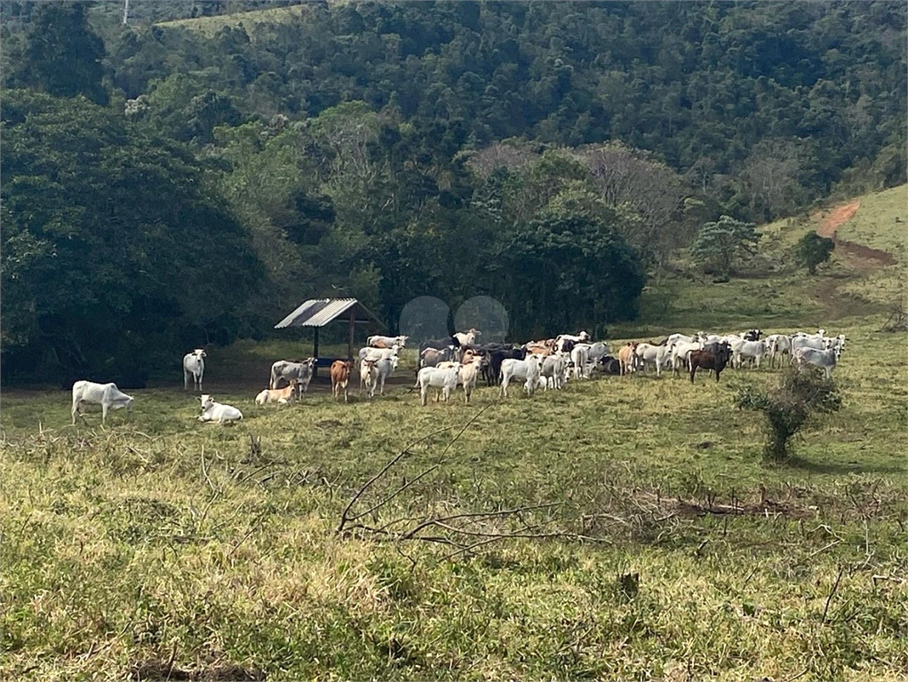 Venda Condomínio Joanópolis Centro REO888681 18