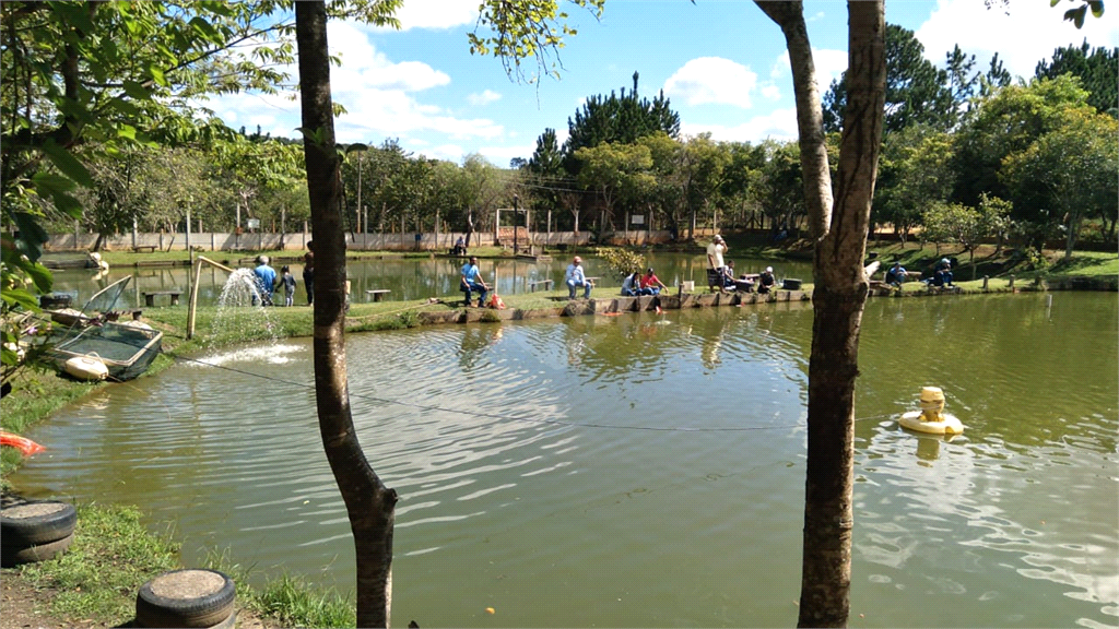 Venda Área de Terra São Miguel Arcanjo Centro REO888716 11