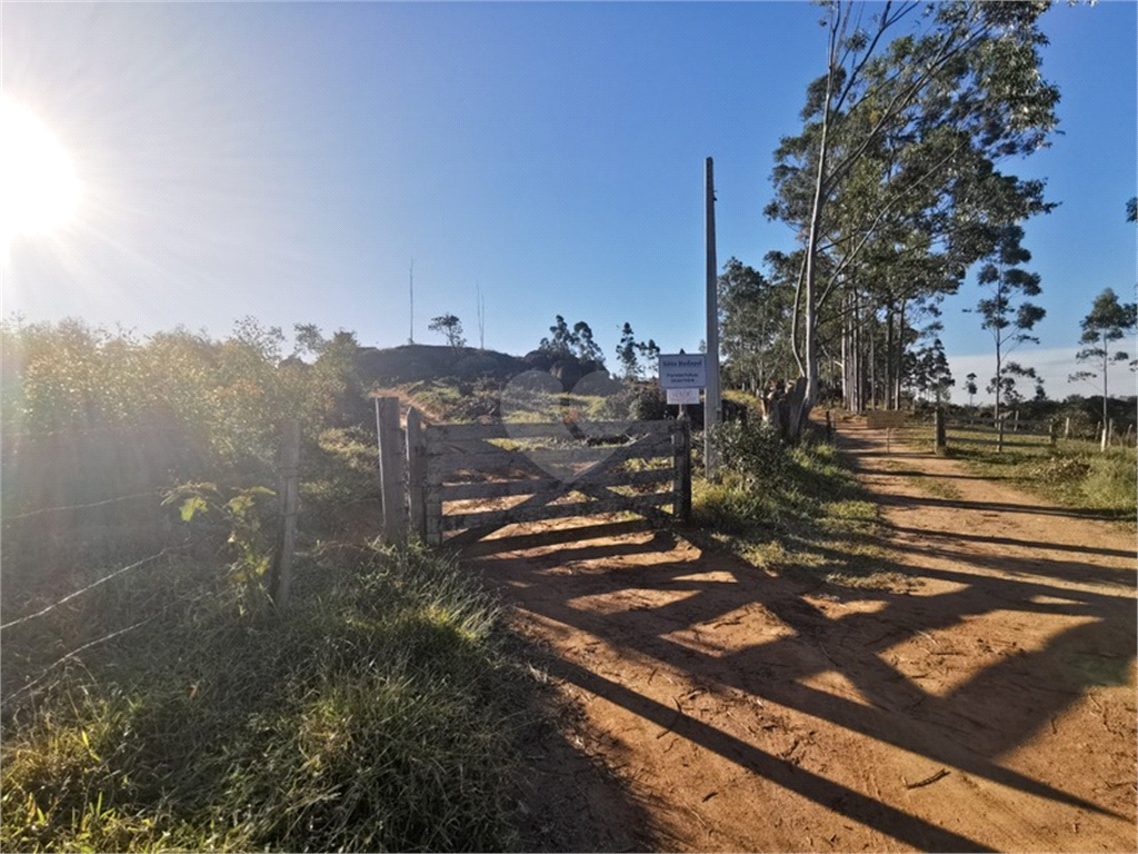 Venda Sítio Campinas Joaquim Egídio REO888719 1