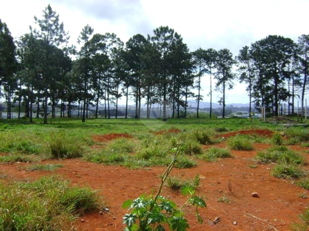 Venda Terreno Itaquaquecetuba Pinheirinho REO88897 1