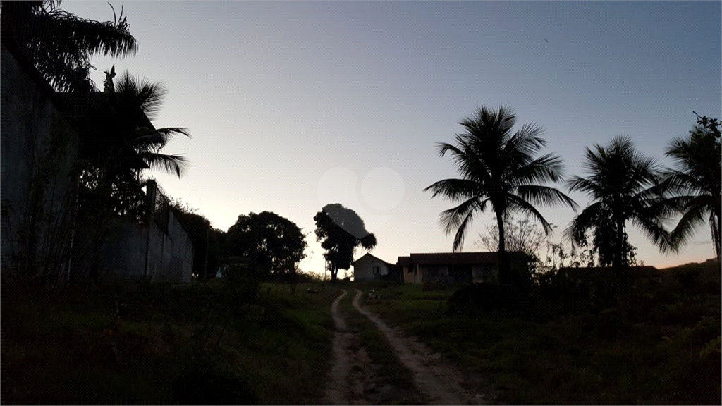 Venda Sítio Cachoeira Paulista Centro REO889160 36