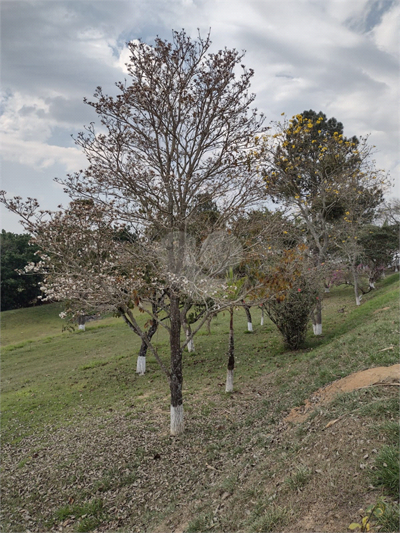 Venda Sítio Araçoiaba Da Serra Centro REO889362 48