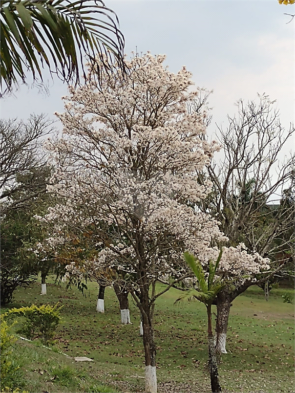 Venda Sítio Araçoiaba Da Serra Centro REO889362 49