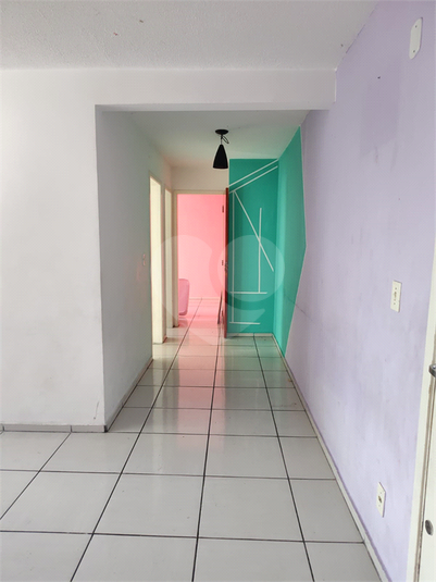 Foto REO889589