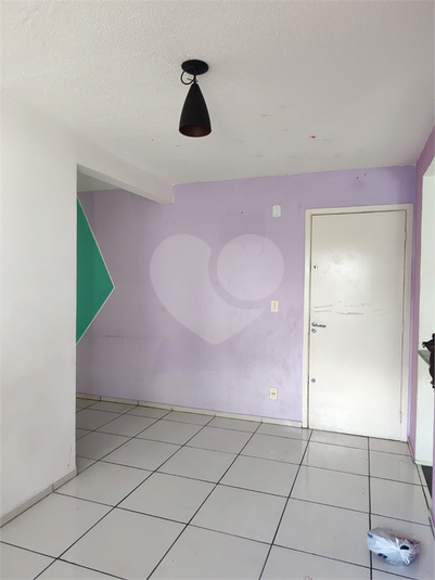 Foto REO889589
