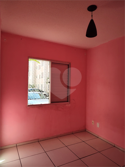 Foto REO889589