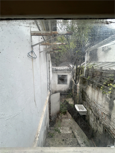 Foto REO889828