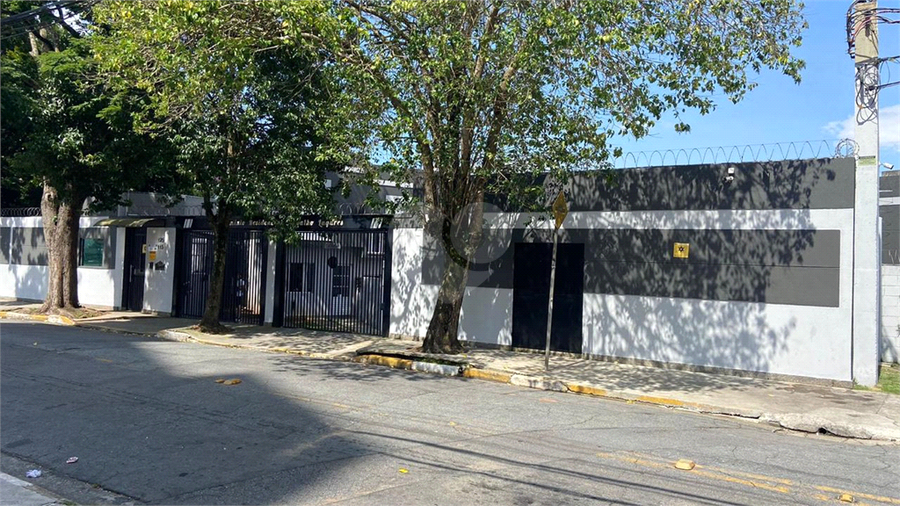 Foto REO890265