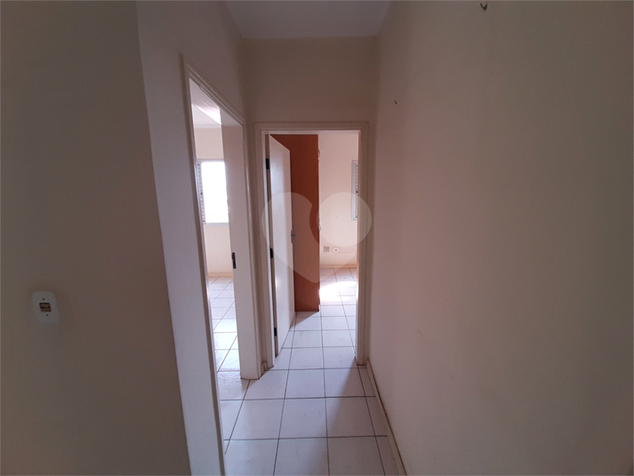 Foto REO890344