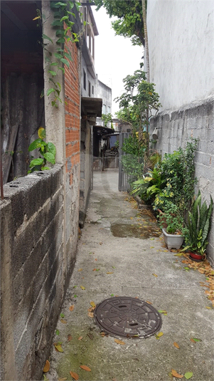 Foto REO890380