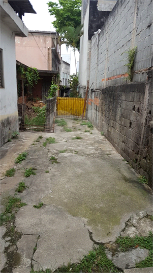 Foto REO890380