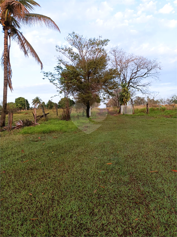 Venda Sítio Presidente Prudente Parque Furquim REO890425 12