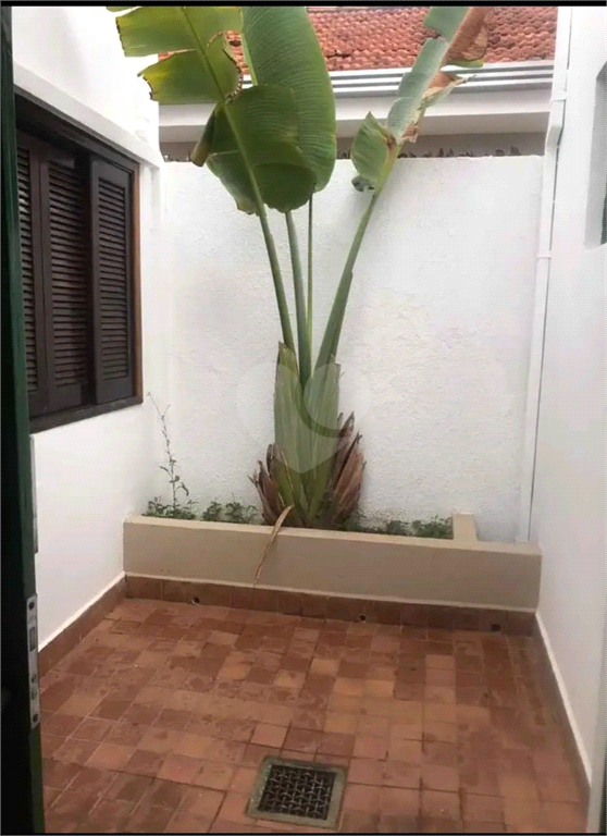 Venda Casa Bauru Jardim Estoril REO890573 24