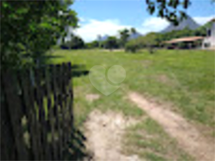 Foto REO890834