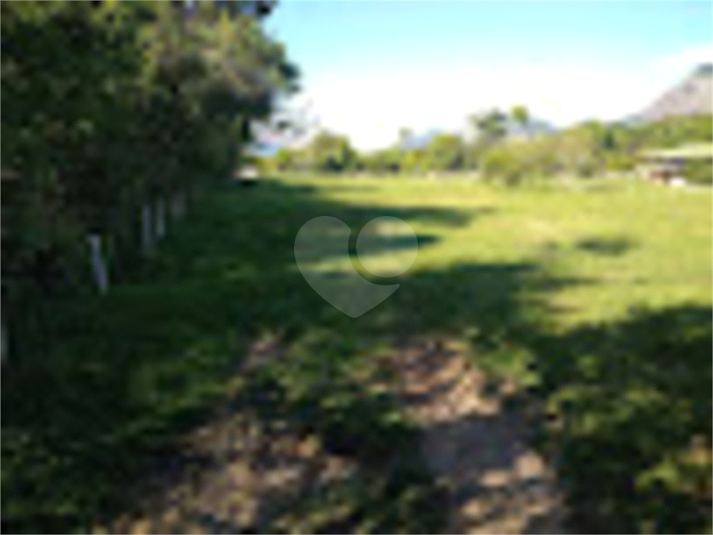 Foto REO890834