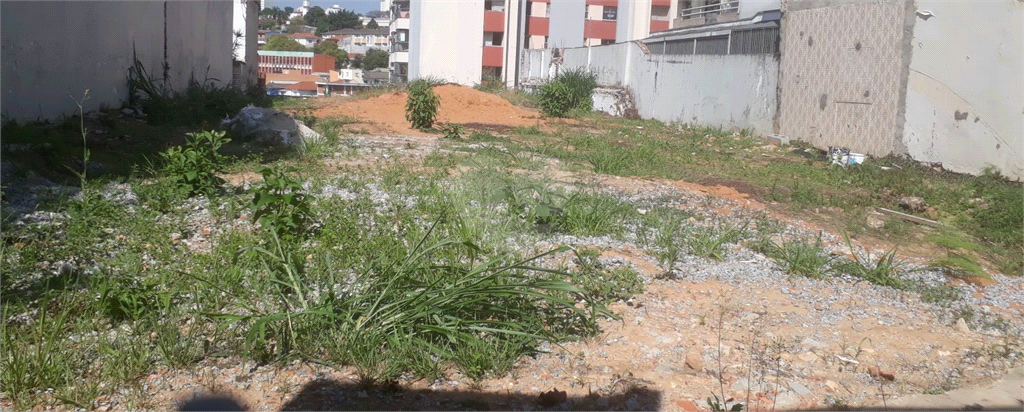 Venda Terreno São Paulo Vila Pompéia REO890926 14