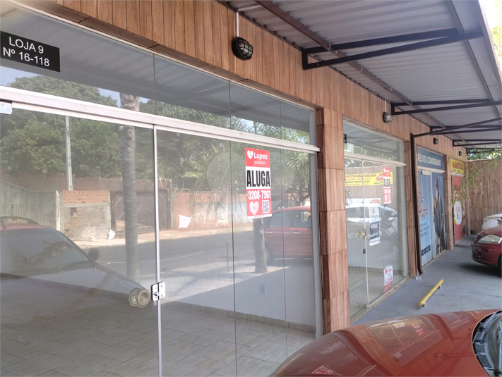 Foto REO891732