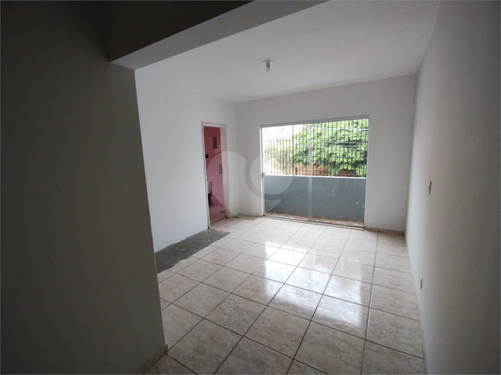 Foto REO891880