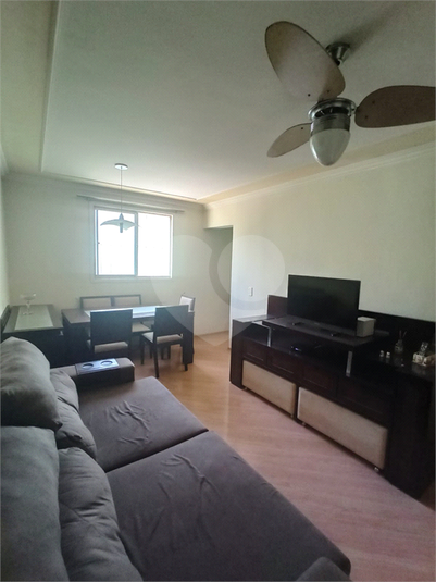 Venda Apartamento Campinas Vila Manoel Ferreira REO891980 17