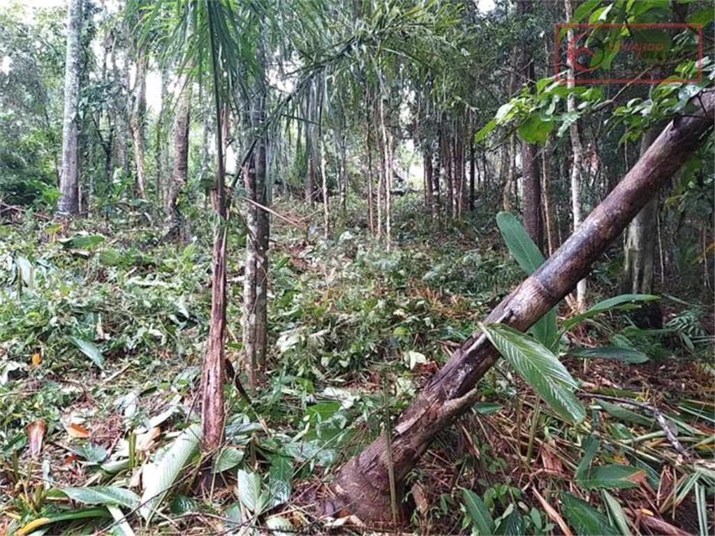 Venda Terreno Mairiporã Boa Vista REO892041 11