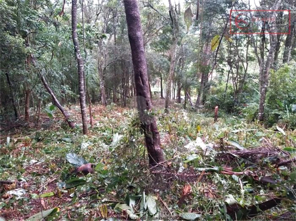 Venda Terreno Mairiporã Boa Vista REO892041 8