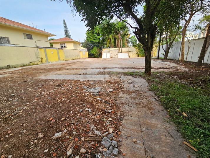 Foto REO892133