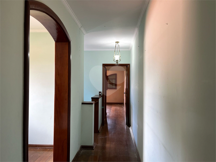 Foto REO892186