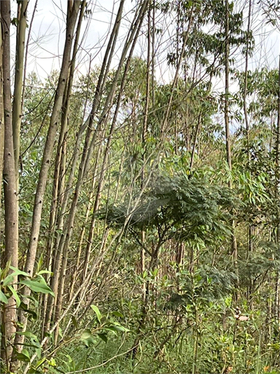 Venda Condomínio Mairiporã Caraguatá REO892677 18