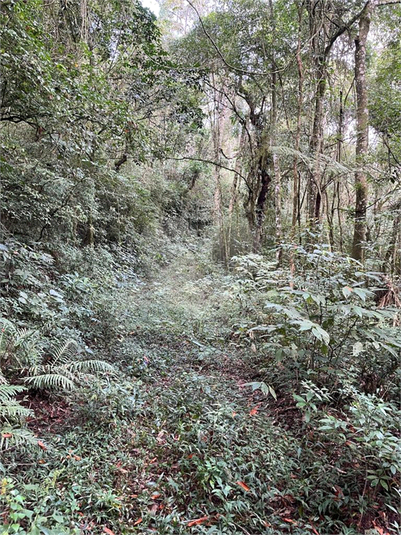 Venda Condomínio Mairiporã Caraguatá REO892677 17