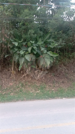 Venda Condomínio Mairiporã Caraguatá REO892677 16