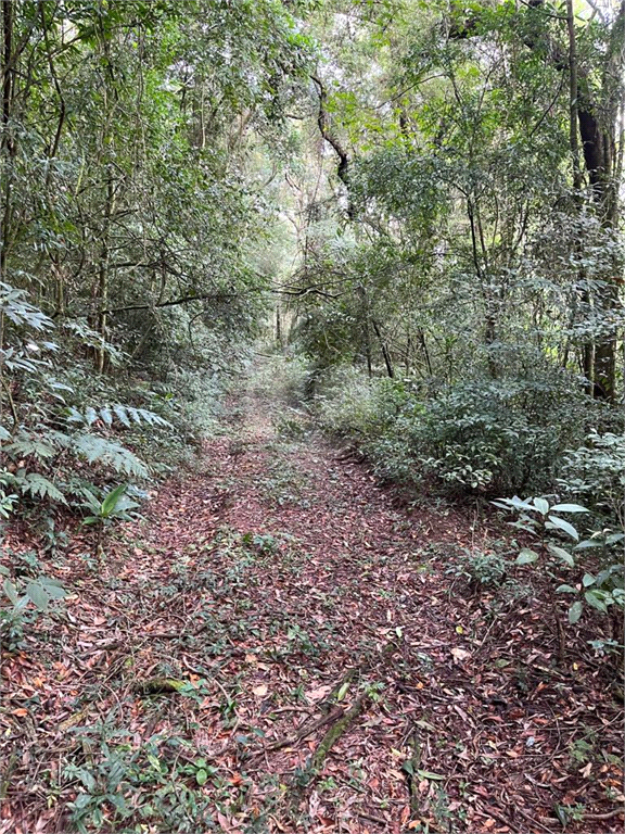 Venda Área de Terra Mairiporã Chácara Arantes REO892729 4