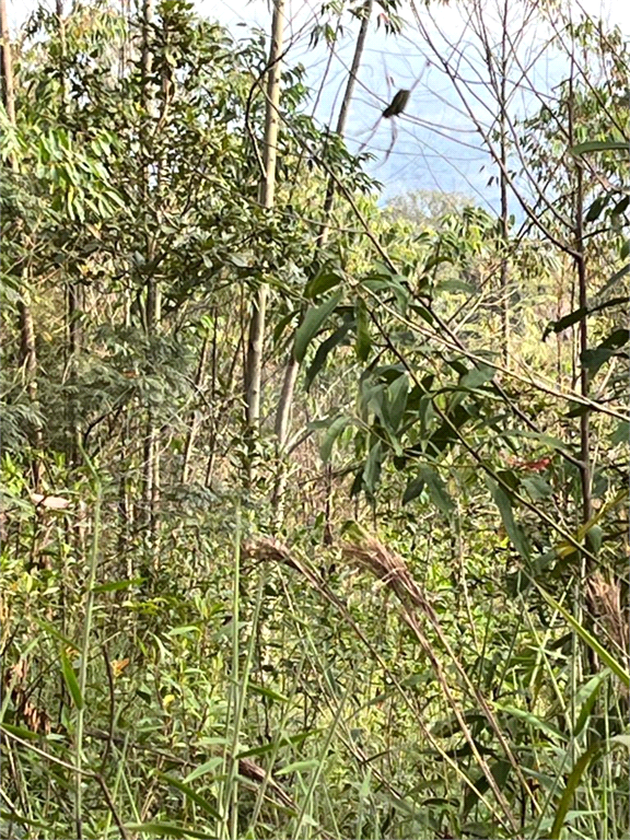 Venda Área de Terra Mairiporã Chácara Arantes REO892729 2