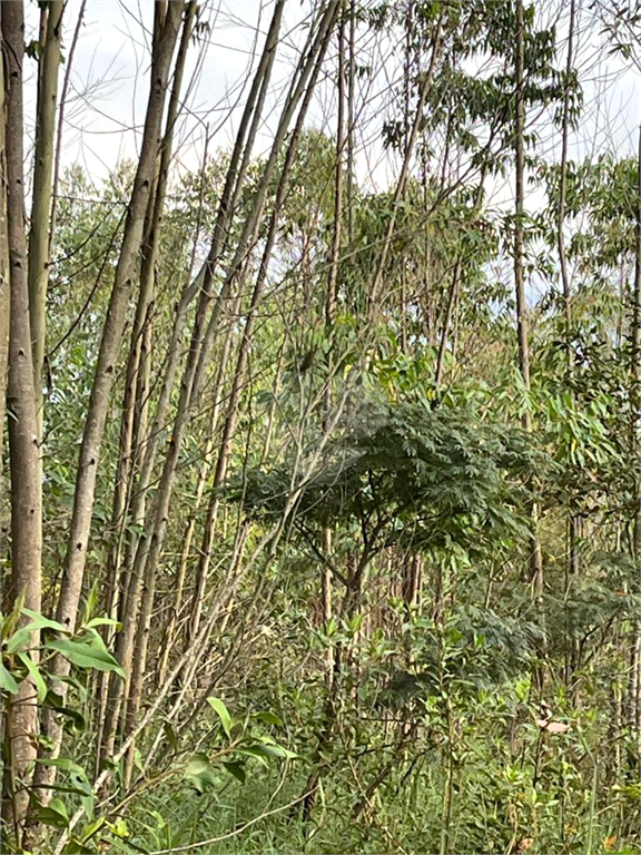 Venda Área de Terra Mairiporã Chácara Arantes REO892729 3