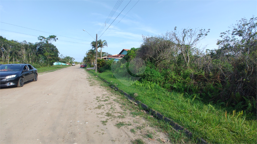 Foto REO893052