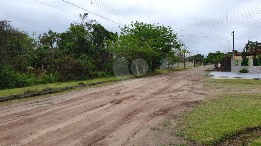 Foto REO893052