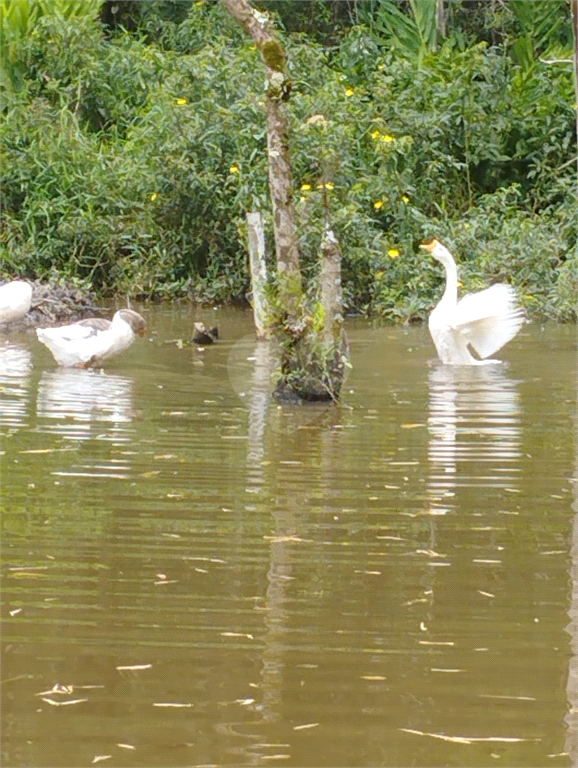 Venda Chácara Suzano Fazenda Aya REO893526 15