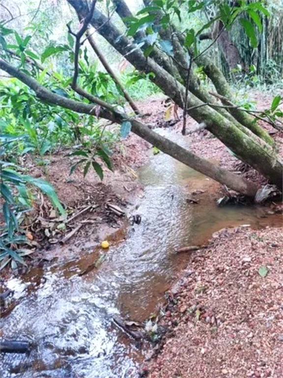 Venda Sítio Itu Área Rural De Itu REO893633 12