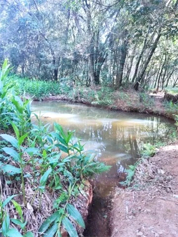 Venda Sítio Itu Área Rural De Itu REO893633 15