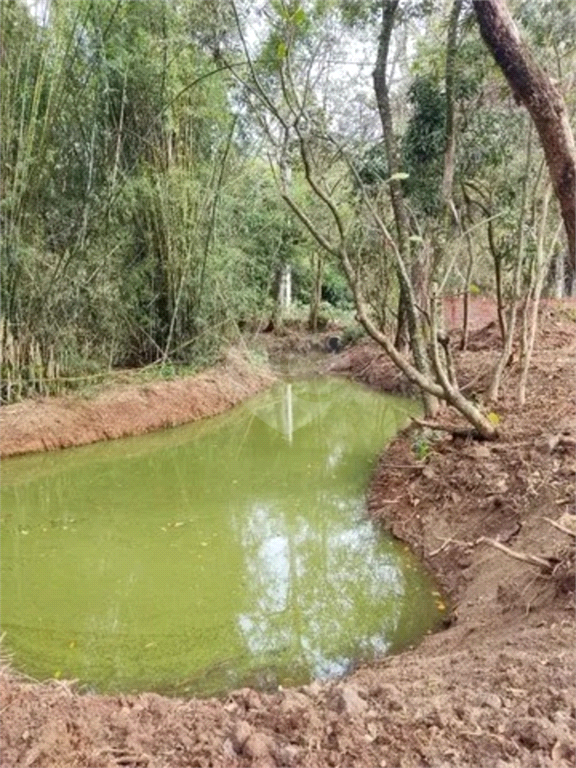 Venda Sítio Itu Área Rural De Itu REO893633 13