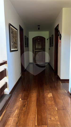 Foto REO89385