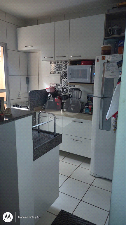 Venda Apartamento Araraquara Jardim Califórnia REO894000 1