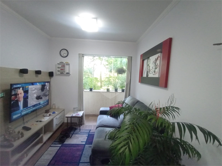 Foto REO894160